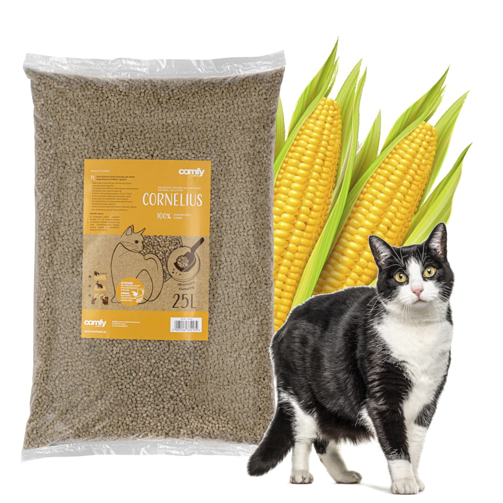 cornelius 2.jpg